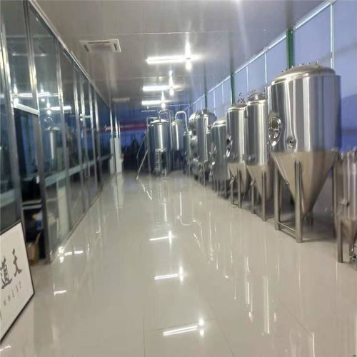 湖南安阳精酿啤酒设备 定制化酿啤酒设备厂家引领行业新风尚